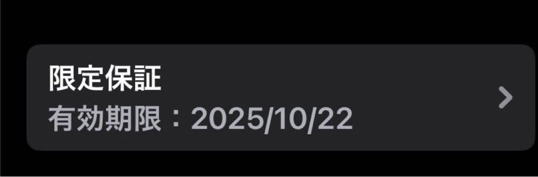 電池100%！美品！iPad mini 第7世代 Wi-FI 128G ブルー