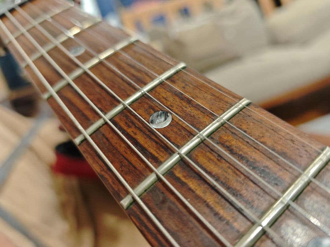 PRS SE Custom 24 グリーン系 フレイムトップ　調整済 ケース付