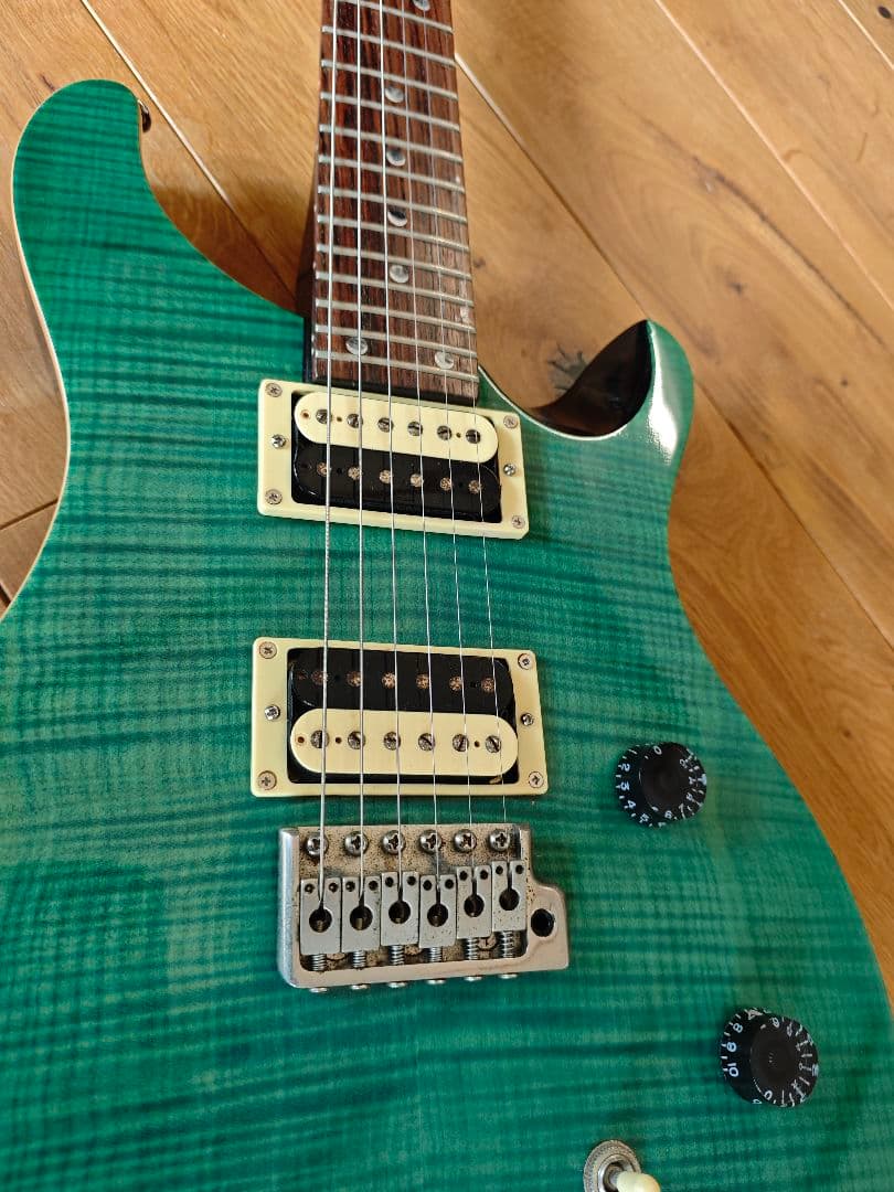 PRS SE Custom 24 グリーン系 フレイムトップ　調整済 ケース付
