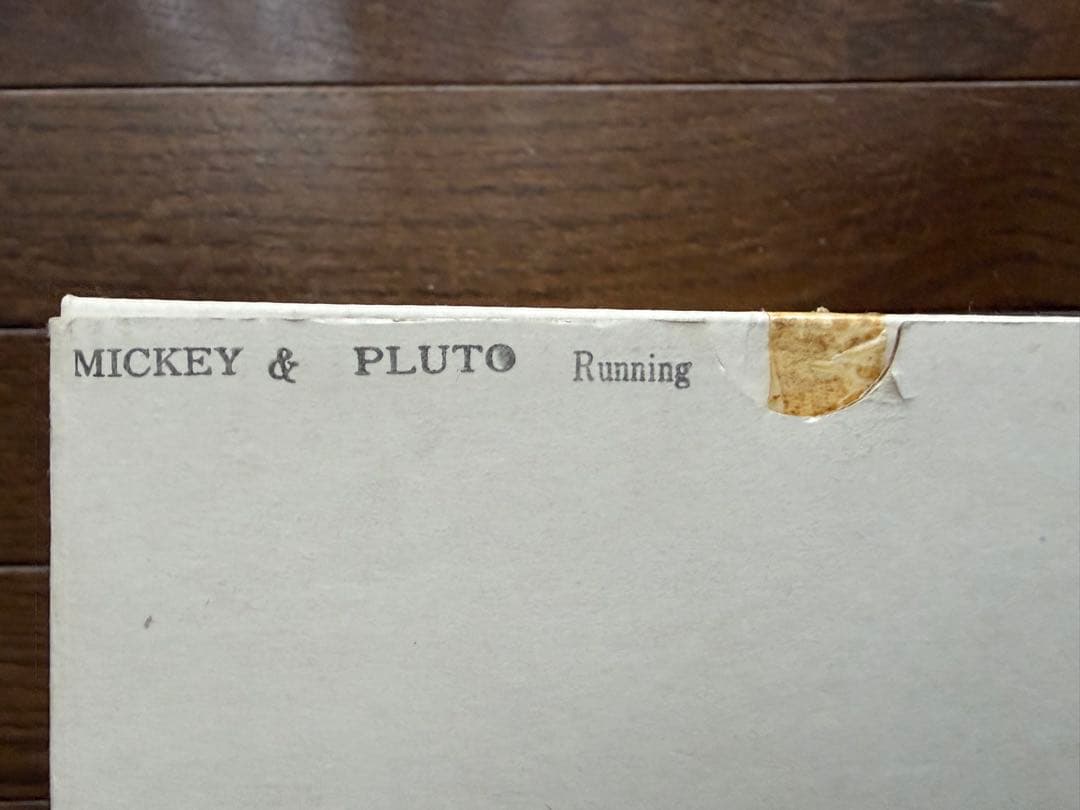 東京ディズニーランド　MICKEY & PLUTO Running