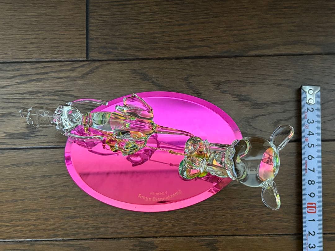 東京ディズニーランド　MICKEY & PLUTO Running