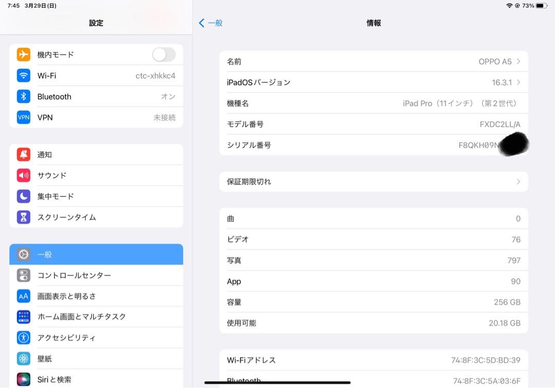 Apple iPad Pro 11インチ 第二世代　256GB