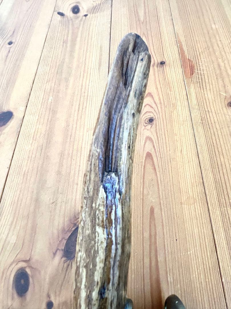 流木　ドアハンドル　ドアノブ　取手　長さ60cm 　三日月　希少