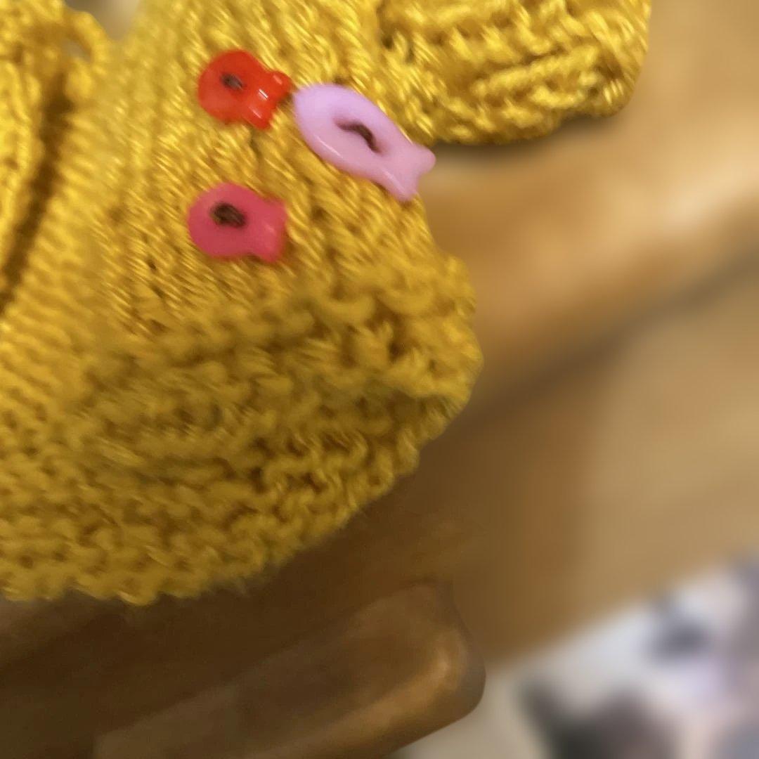 デニムのカラフルねこちゃん