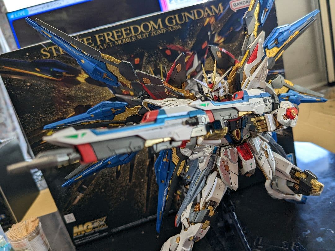 MGEX ストライクフリーダム 全塗装完成品