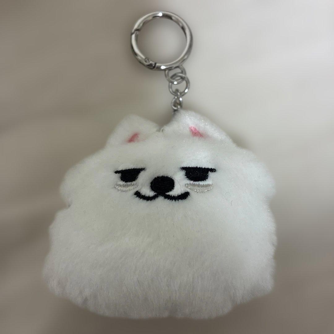 プルバトゥ　フェイスキーリング　5点セット　公式