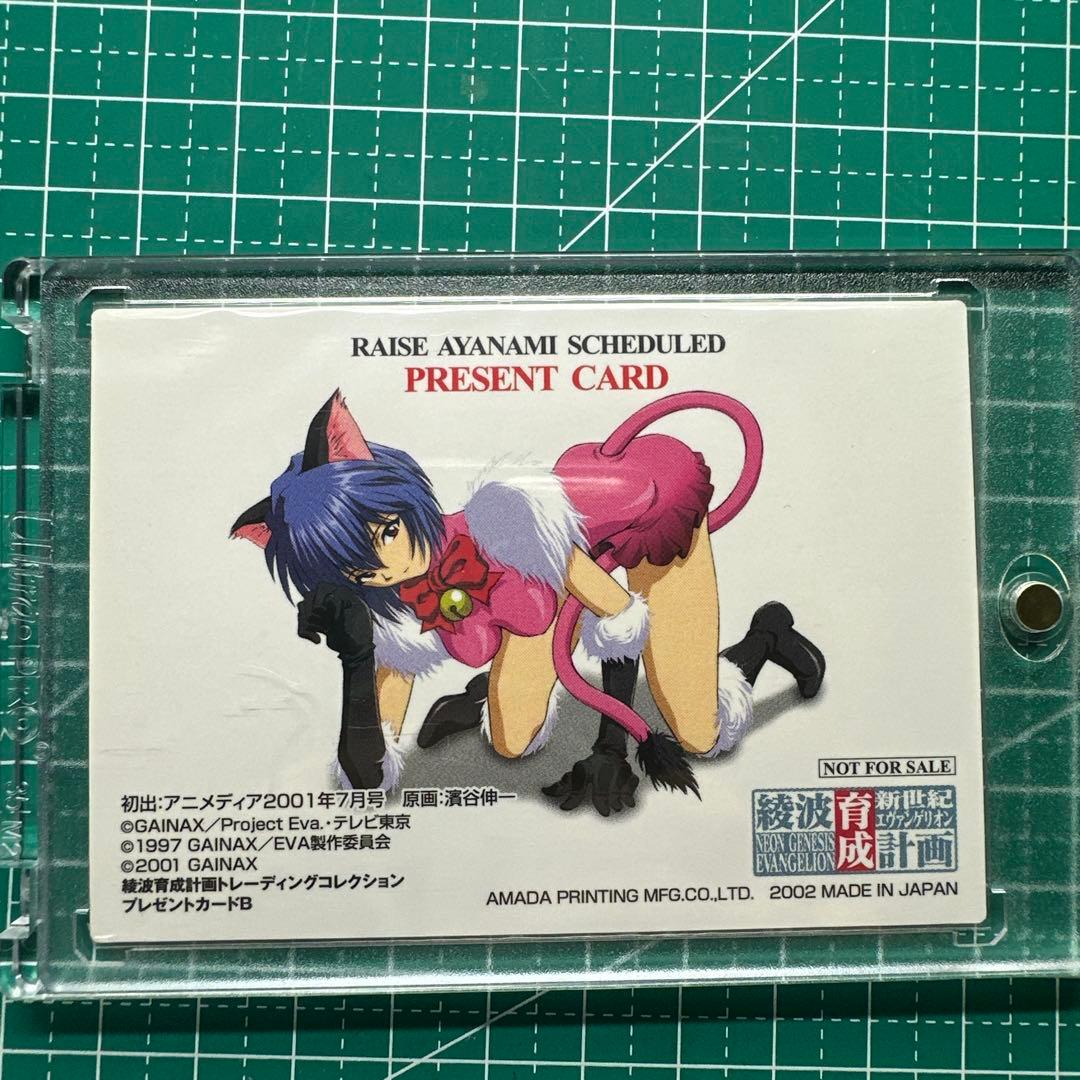 綾波レイ(ピンクの猫耳メイド服)新世紀エヴァンゲリオン