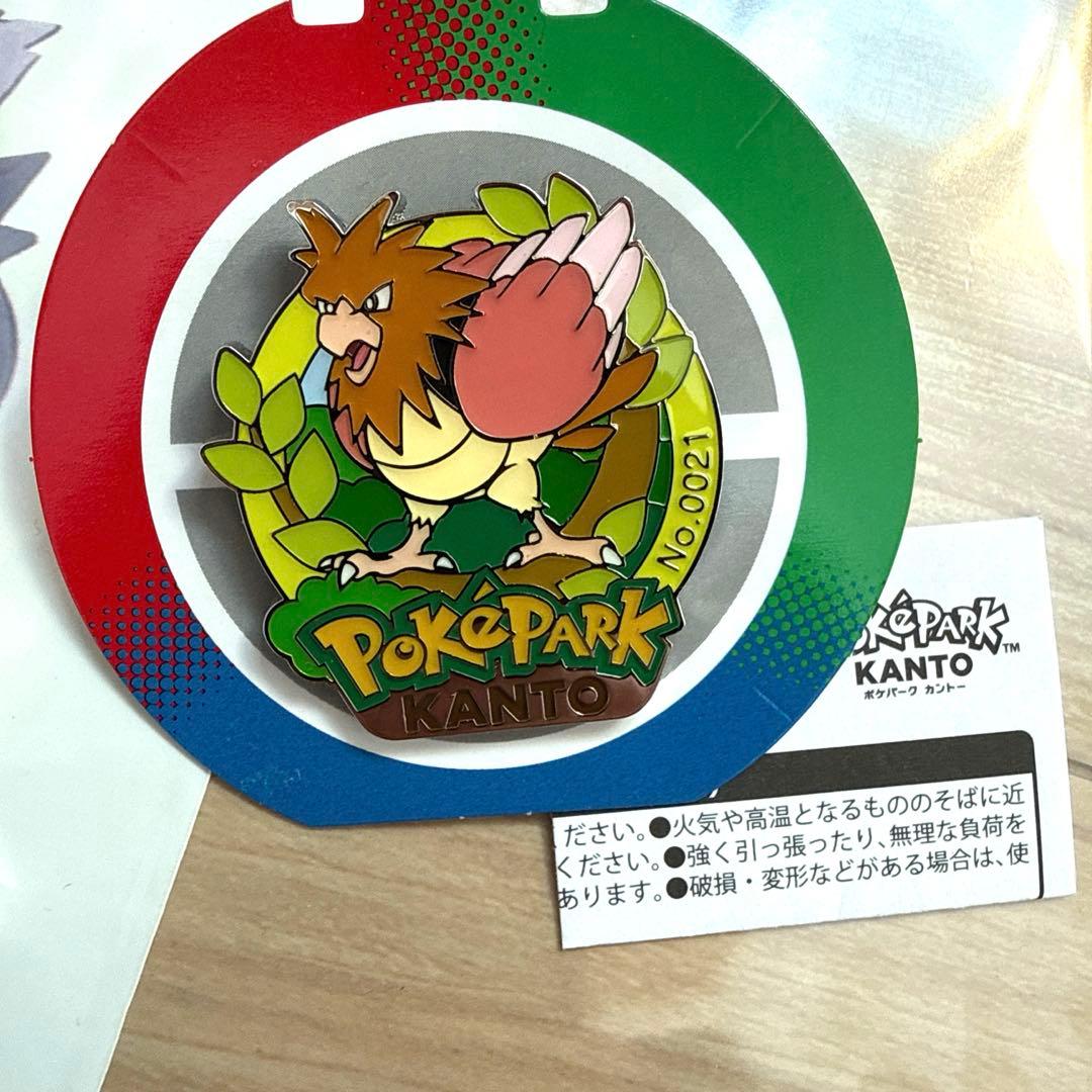 ポケパークカントー 限定ピンバッジ　12個セット　ショッパー　おまけ付き