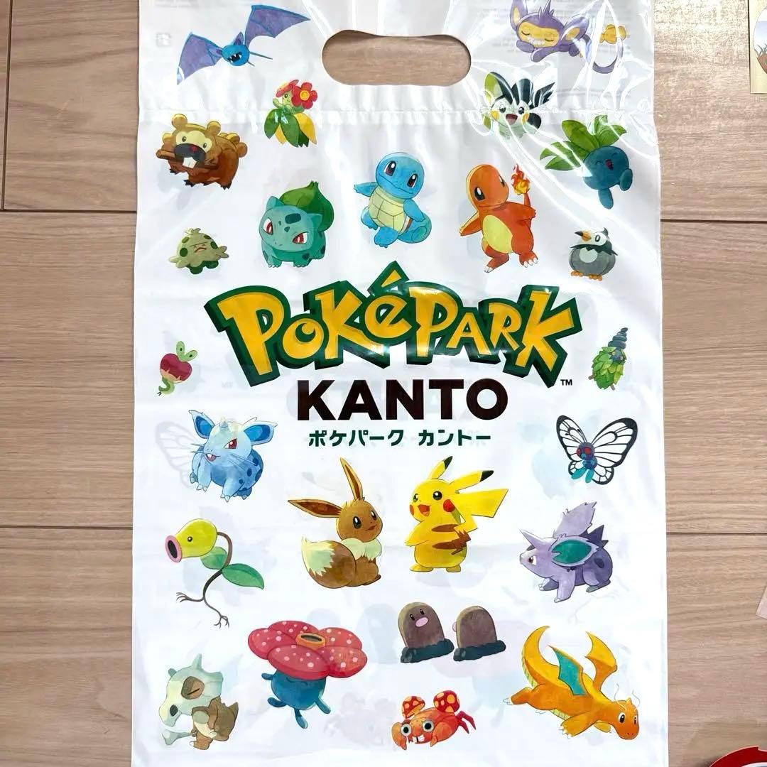 ポケパークカントー 限定ピンバッジ　12個セット　ショッパー　おまけ付き