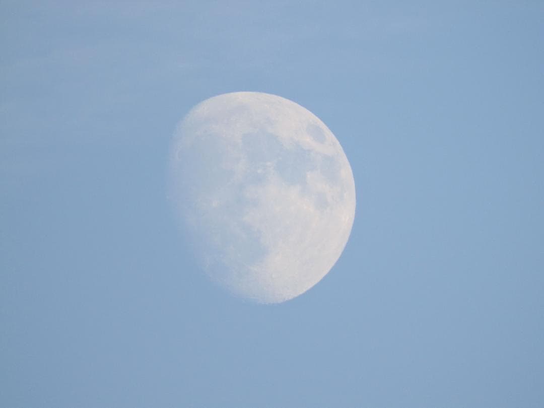 Nikon Coolpix P610 ブラック