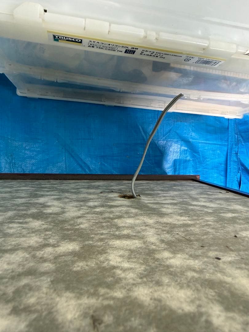 雛人形セット 伝統的な雛祭り用