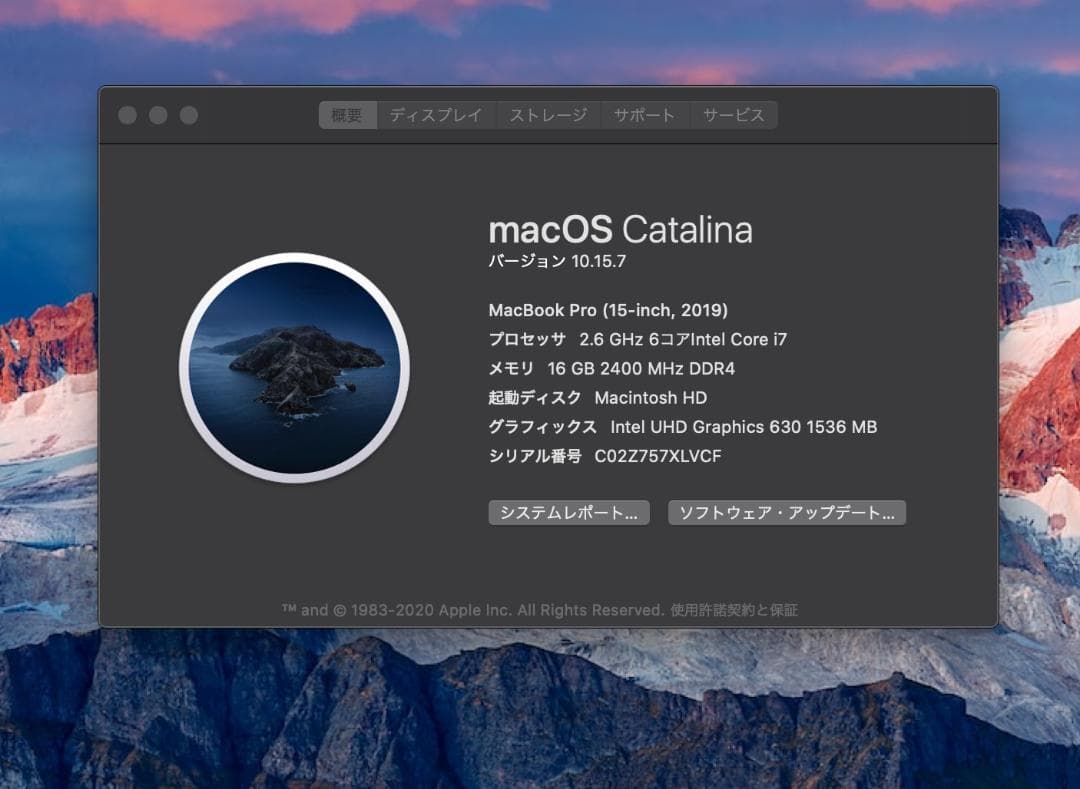 MacBook Pro 15インチ 2019 / メモリ16GB / 256GB