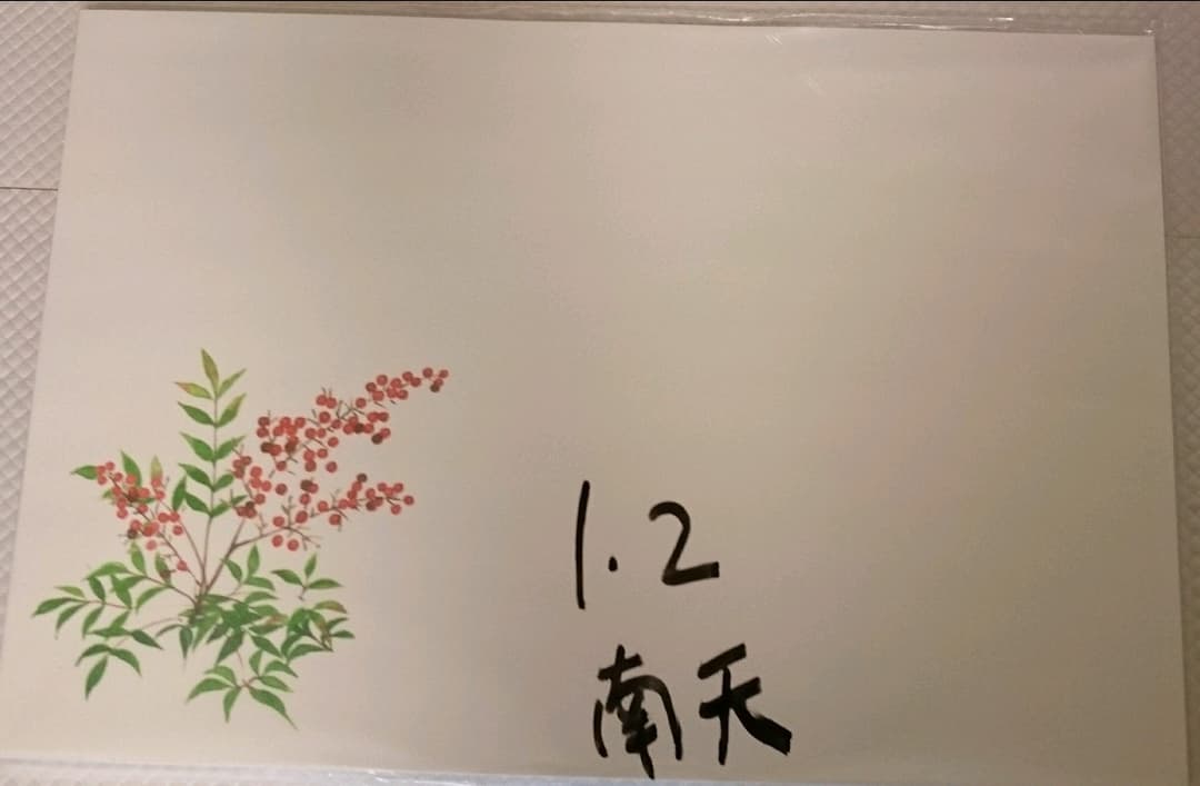 業務用 テーブル和紙