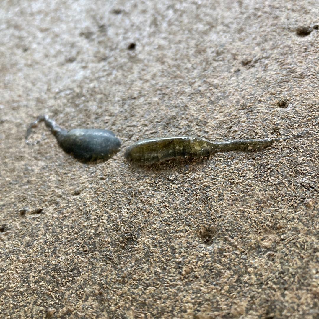 珍品 特大 水鉢 大鉢 花器 大皿 作者不明 直径63cm オブジェ