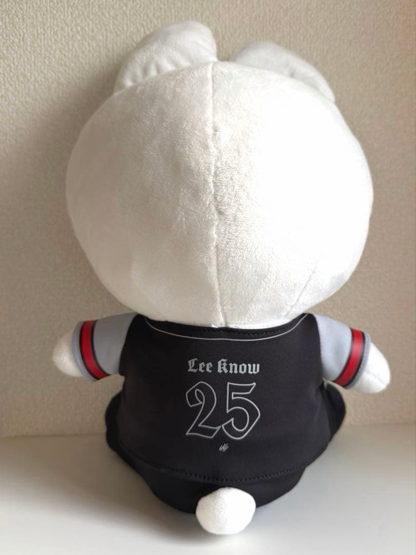 【匿名】Stray Kids スキズ リービット エコパ ぬいぐるみ