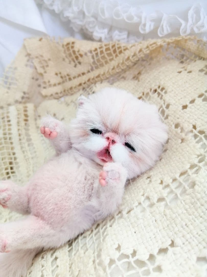 生後15日♡泣き虫子猫ちゃん♡アートドール♡ぬいぐるみ♡むぎゅサイズ♡