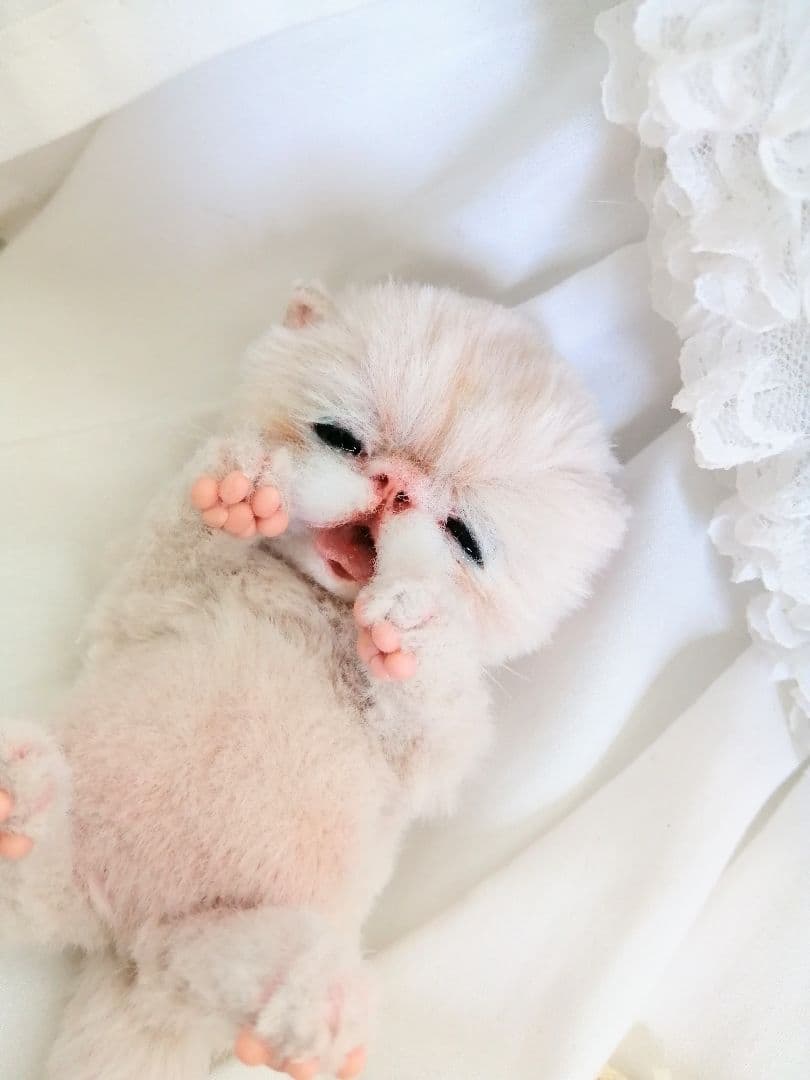 生後15日♡泣き虫子猫ちゃん♡アートドール♡ぬいぐるみ♡むぎゅサイズ♡