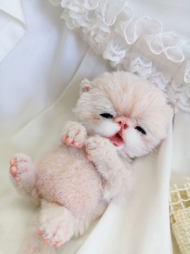 生後15日♡泣き虫子猫ちゃん♡アートドール♡ぬいぐるみ♡むぎゅサイズ♡