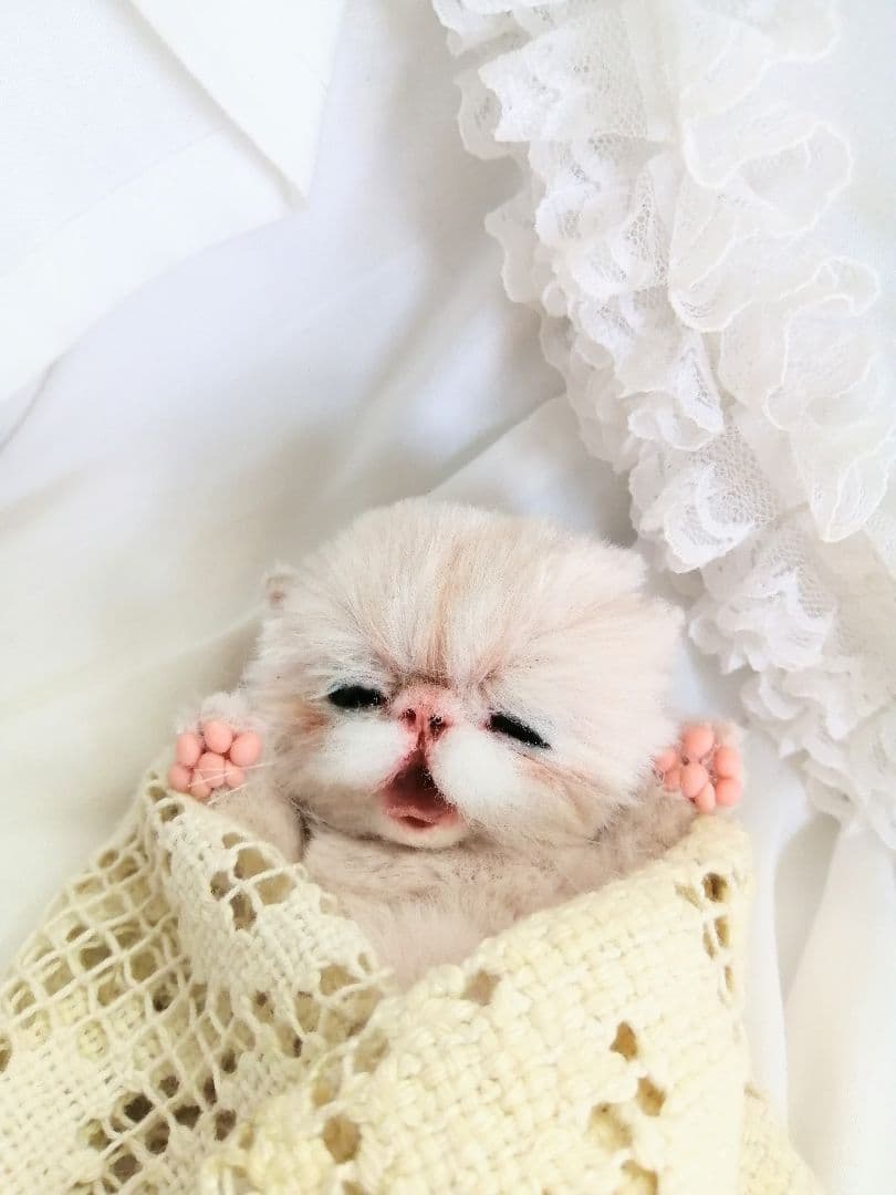 生後15日♡泣き虫子猫ちゃん♡アートドール♡ぬいぐるみ♡むぎゅサイズ♡