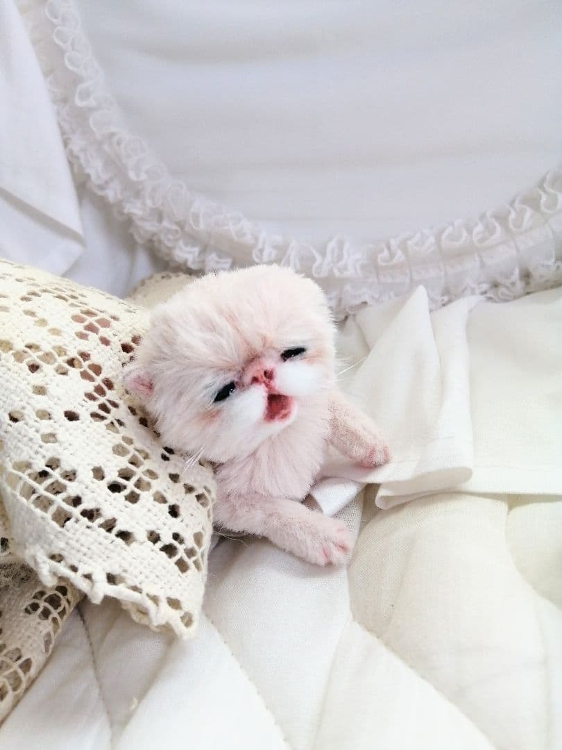 生後15日♡泣き虫子猫ちゃん♡アートドール♡ぬいぐるみ♡むぎゅサイズ♡