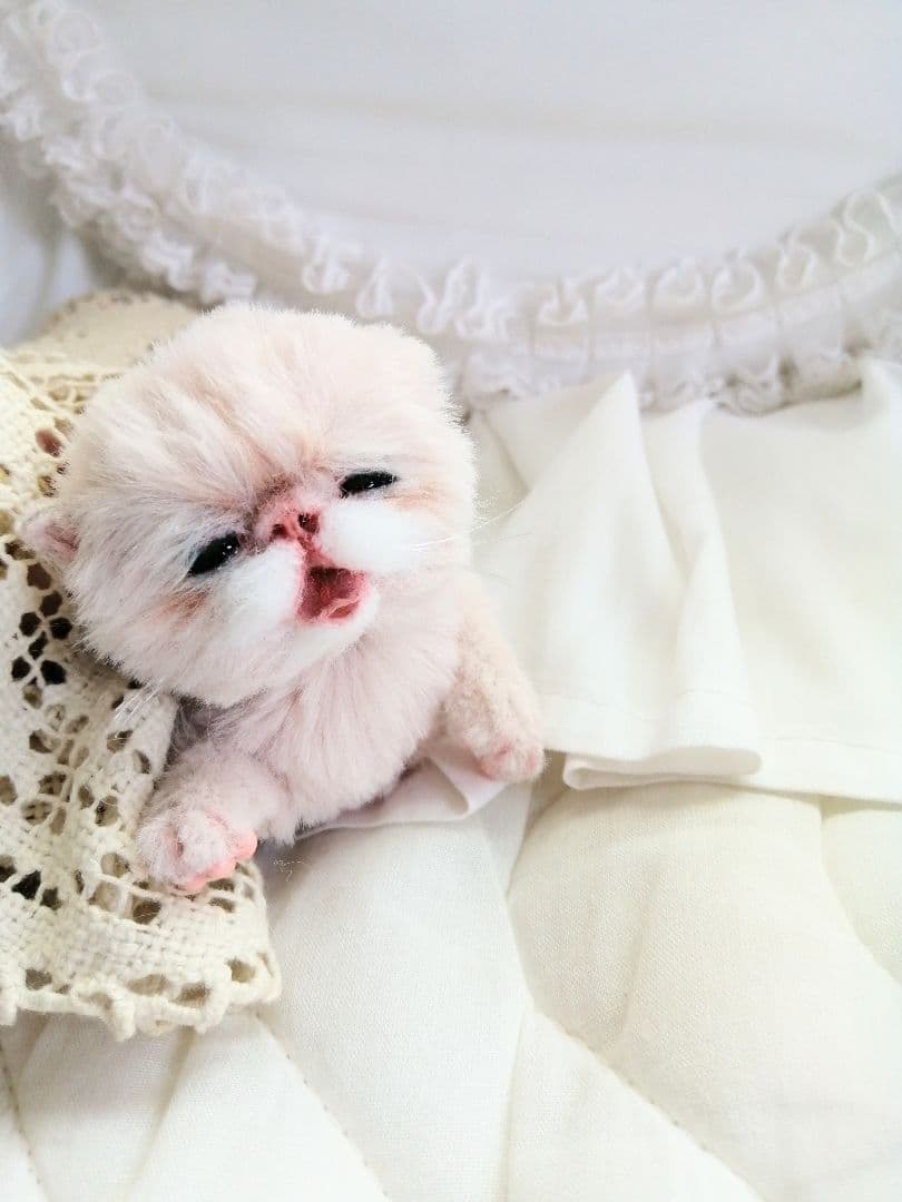 生後15日♡泣き虫子猫ちゃん♡アートドール♡ぬいぐるみ♡むぎゅサイズ♡