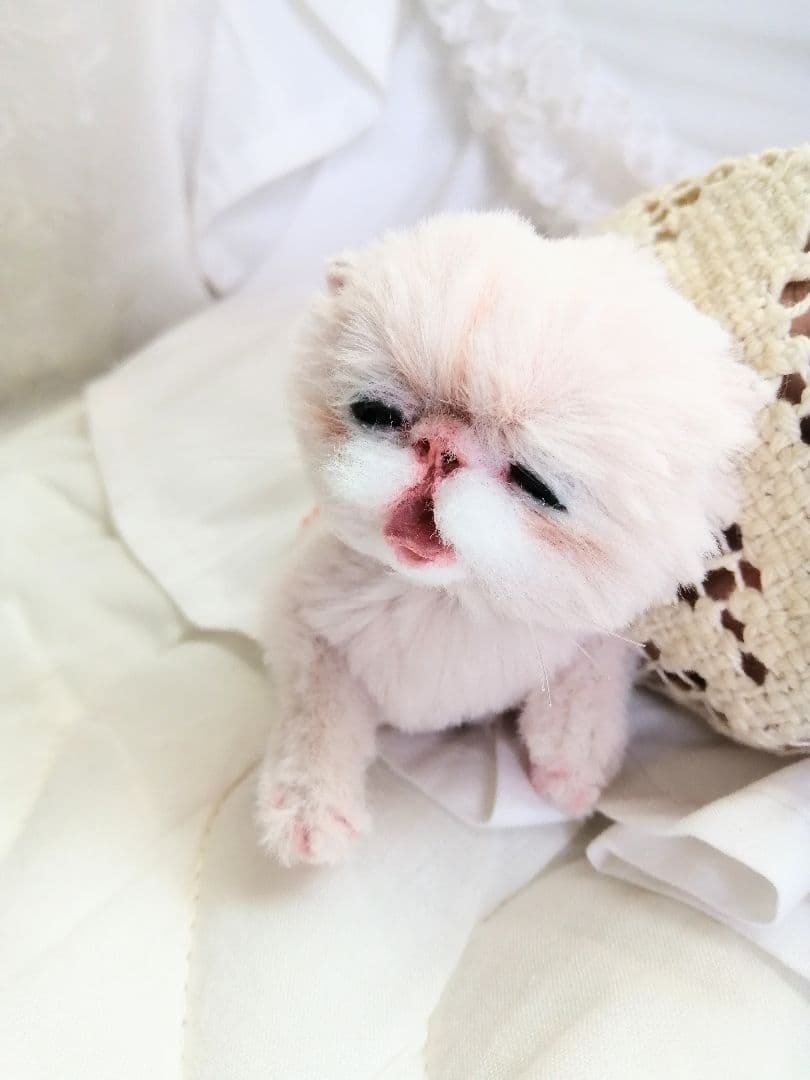 生後15日♡泣き虫子猫ちゃん♡アートドール♡ぬいぐるみ♡むぎゅサイズ♡