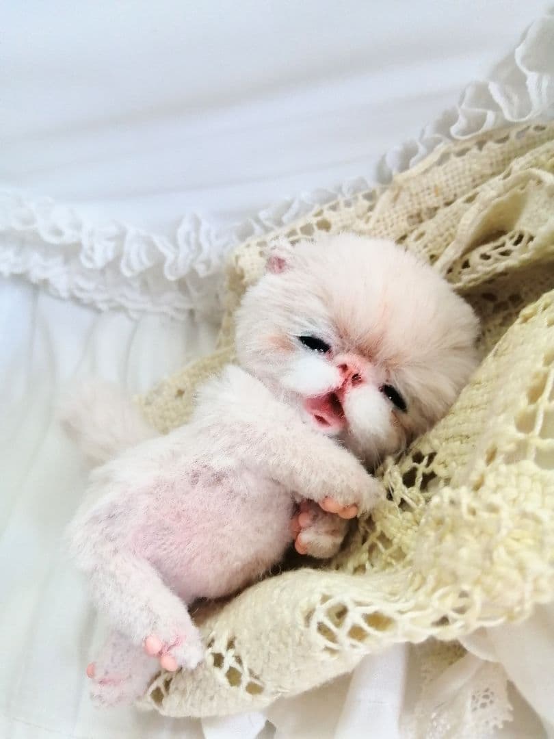 生後15日♡泣き虫子猫ちゃん♡アートドール♡ぬいぐるみ♡むぎゅサイズ♡