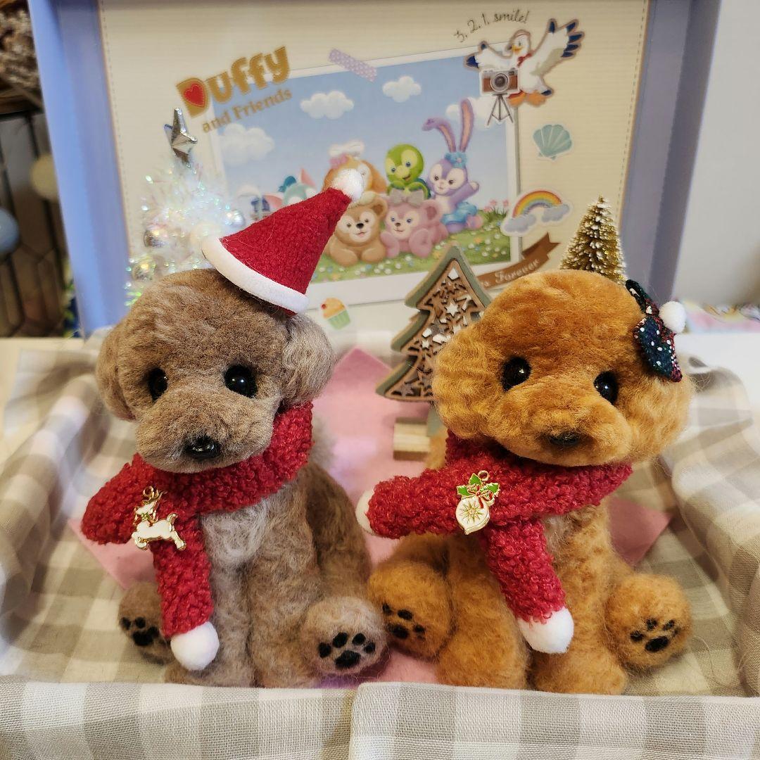 トイプードル❤️クリスマス特別価格❤️　　　　　　　　　　　　お迎え決まりました