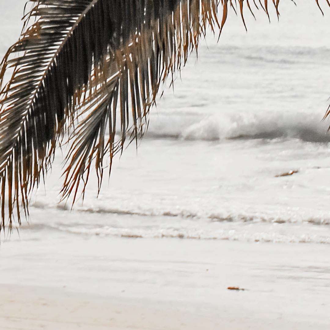 **専用** A1インテリアポスター パームツリー＆砂浜 F095 フレームなし