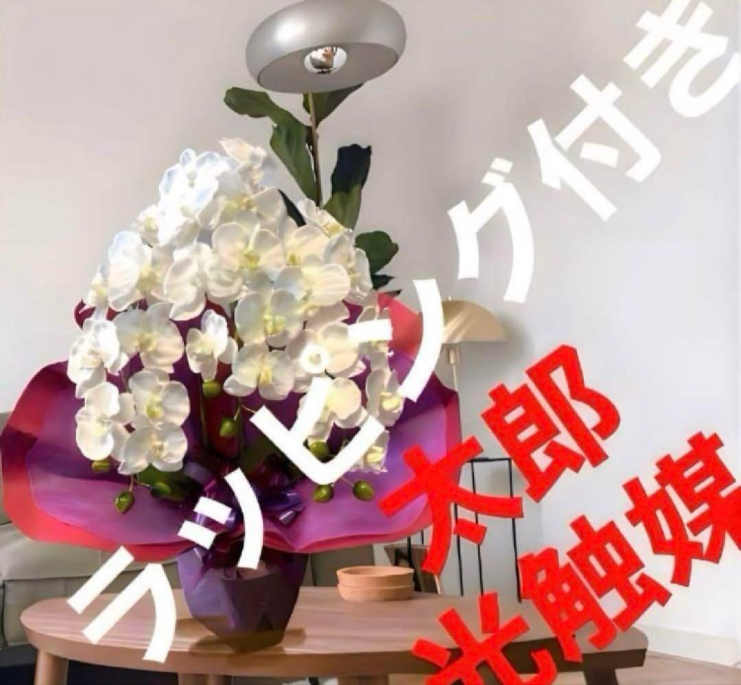 光触媒　人工観葉植物　ウォールグリーン　フェイクグリーン　胡蝶蘭7640@.d