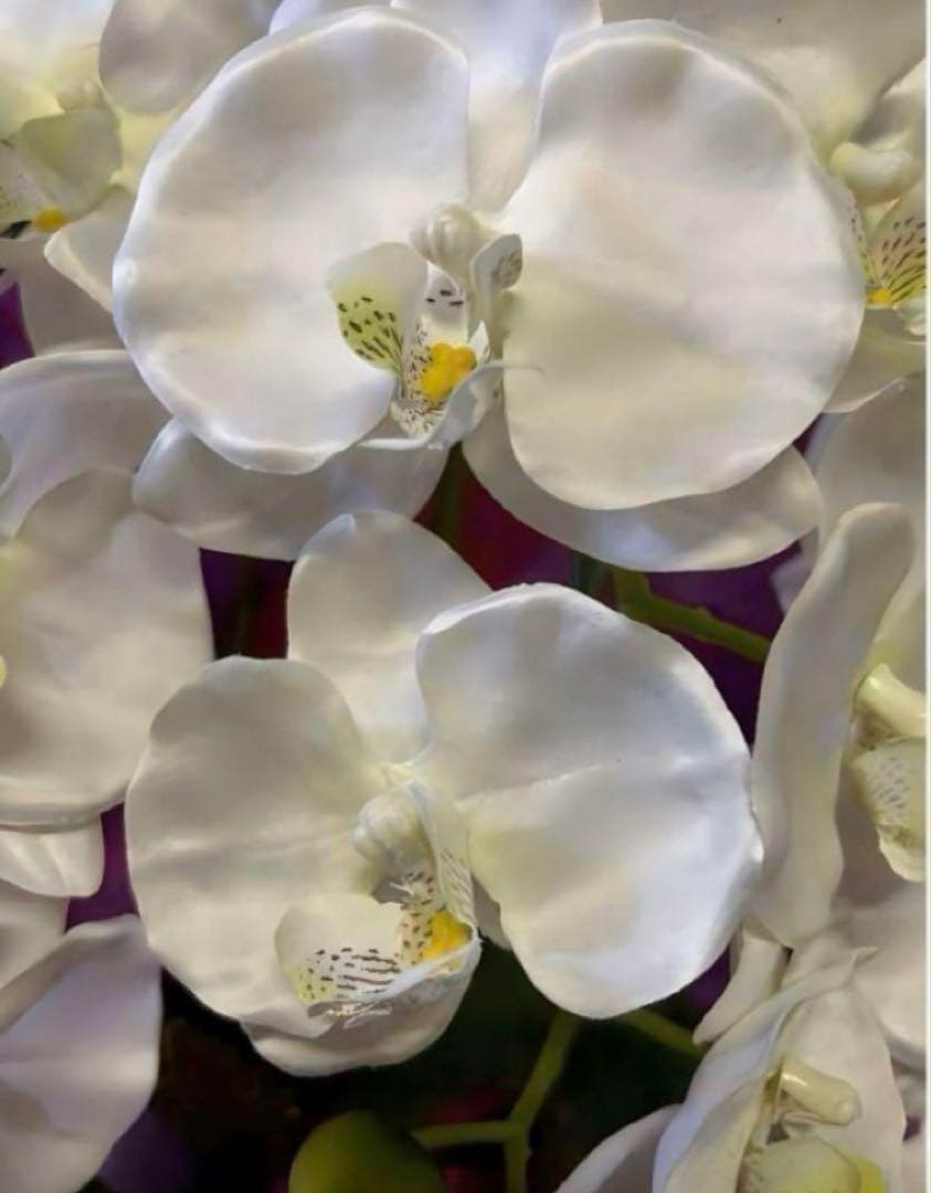 光触媒　人工観葉植物　ウォールグリーン　フェイクグリーン　胡蝶蘭7640@.d