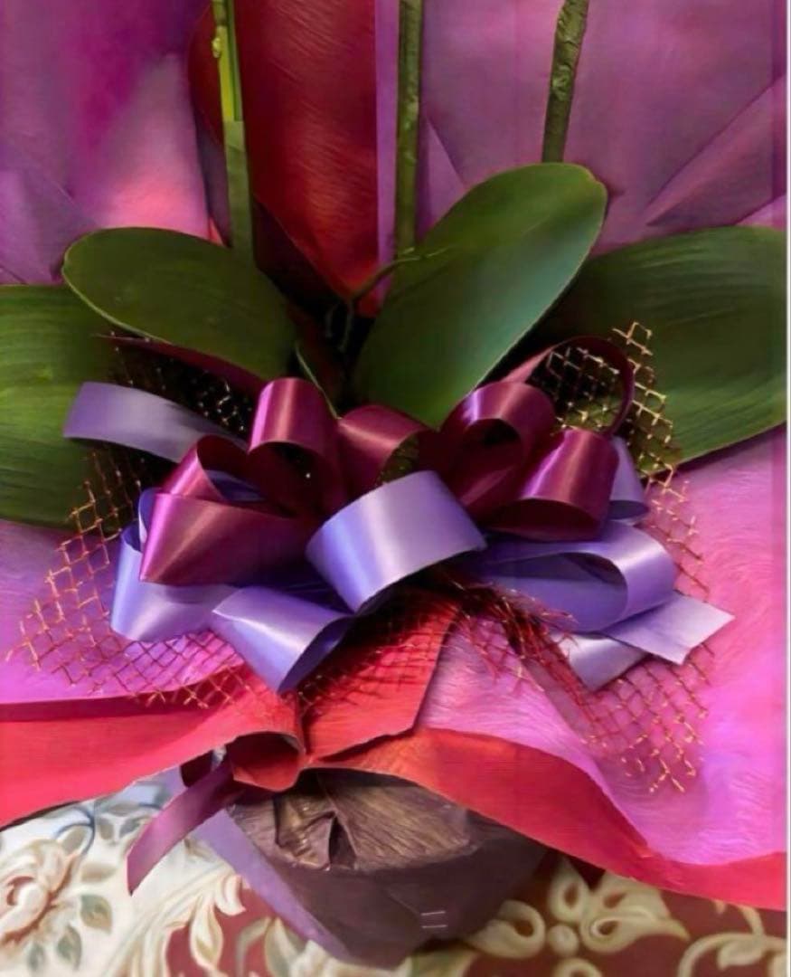 光触媒　人工観葉植物　ウォールグリーン　フェイクグリーン　胡蝶蘭7640@.d