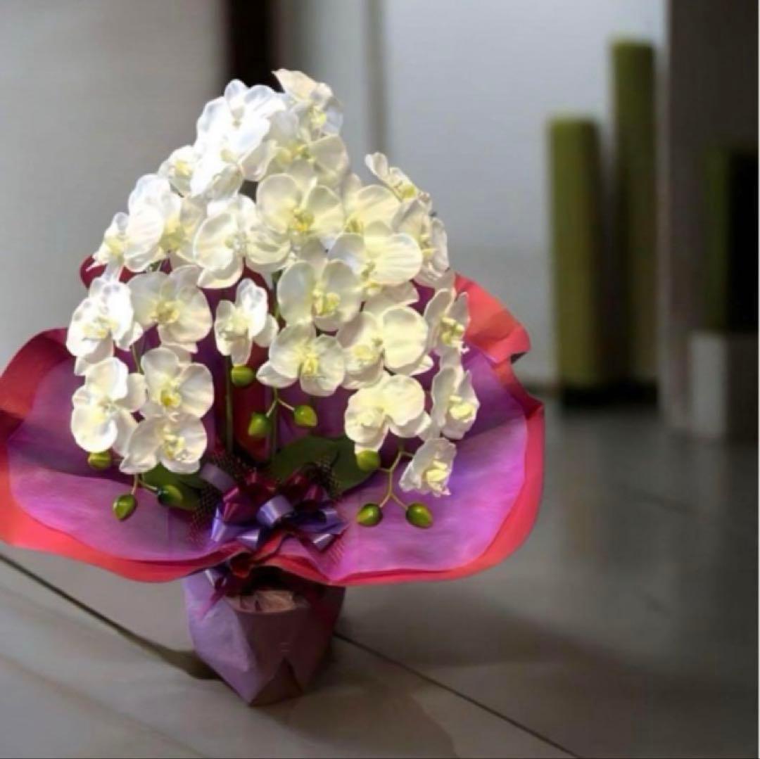 光触媒　人工観葉植物　ウォールグリーン　フェイクグリーン　胡蝶蘭7640@.d