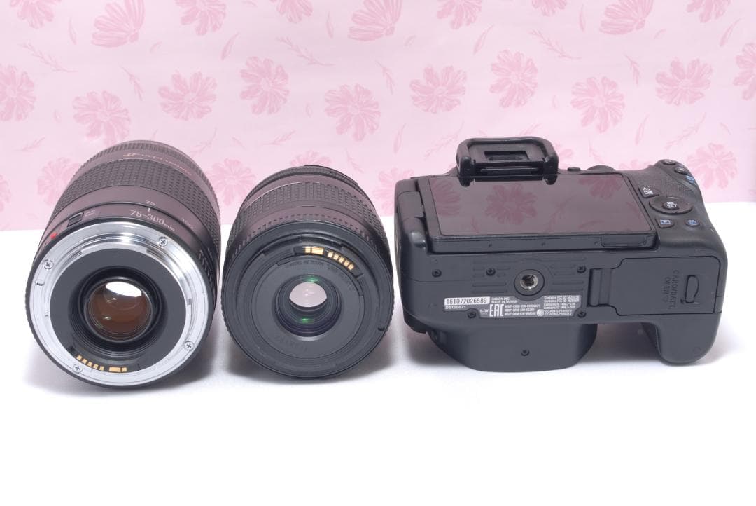 ⭐️お得な望遠レンズつき⭐️Canon Kiss X9 キャノン　デジタル一眼