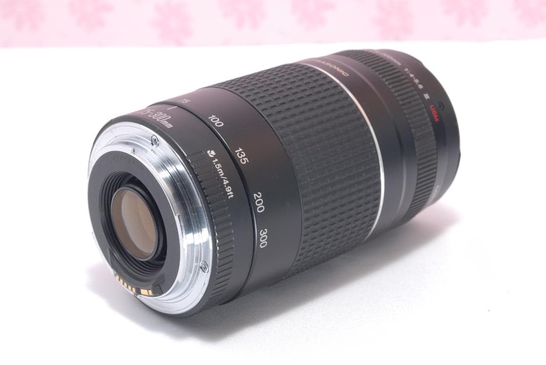 ⭐️お得な望遠レンズつき⭐️Canon Kiss X9 キャノン　デジタル一眼