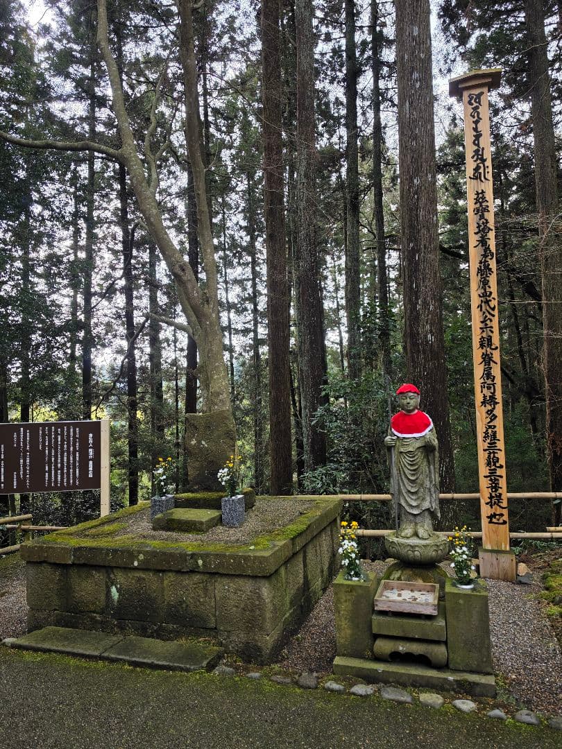 資産とチャンスの太針ルチル勾玉ネックレスオルゴナイト