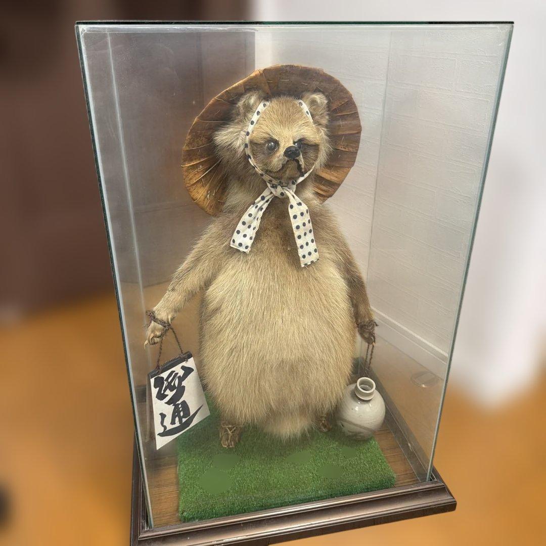 タヌキの置物 剥製　昭和レトロ　高さ約60cm 台座49cm✖️37cm