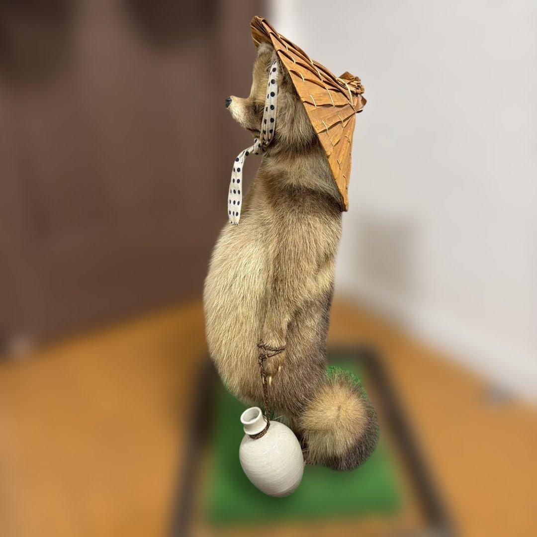 タヌキの置物 剥製　昭和レトロ　高さ約60cm 台座49cm✖️37cm