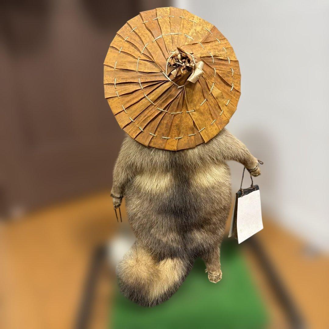 タヌキの置物 剥製　昭和レトロ　高さ約60cm 台座49cm✖️37cm