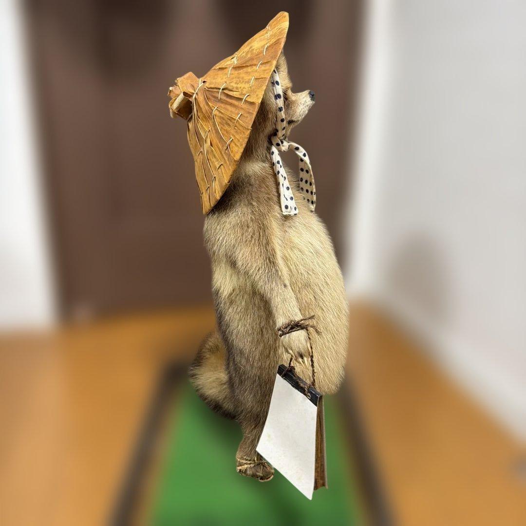 タヌキの置物 剥製　昭和レトロ　高さ約60cm 台座49cm✖️37cm