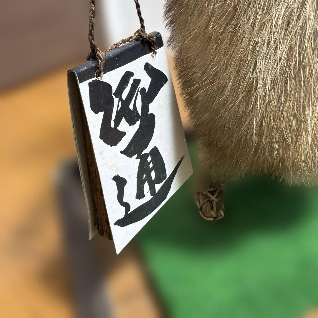 タヌキの置物 剥製　昭和レトロ　高さ約60cm 台座49cm✖️37cm