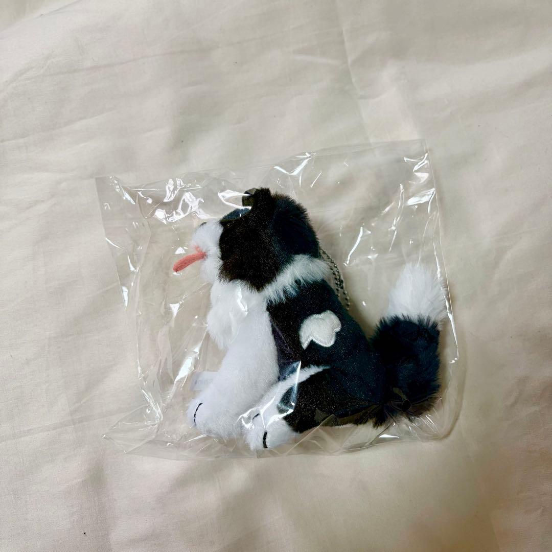 【新品未使用・レア】sumika いろは ぬいぐるみ ぬいぐるみバンド