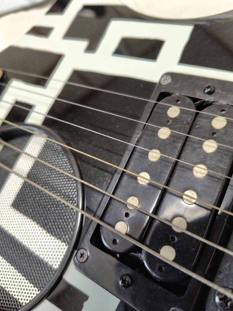 布袋寅泰 FERNANDES ZO-3 HOTEI MODEL