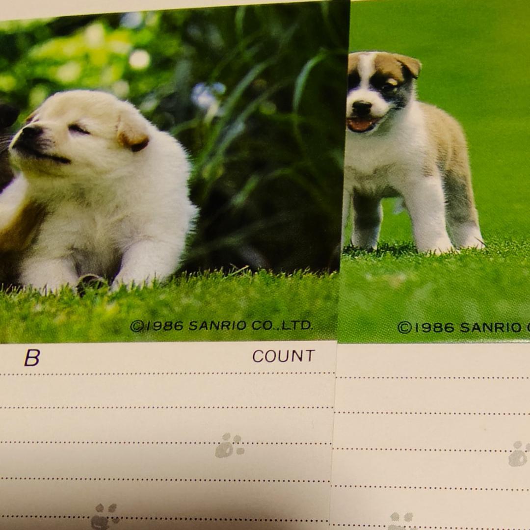 メローチューン カセットインデックス 新品・未使用 サンリオ 昭和レトロ 超希少