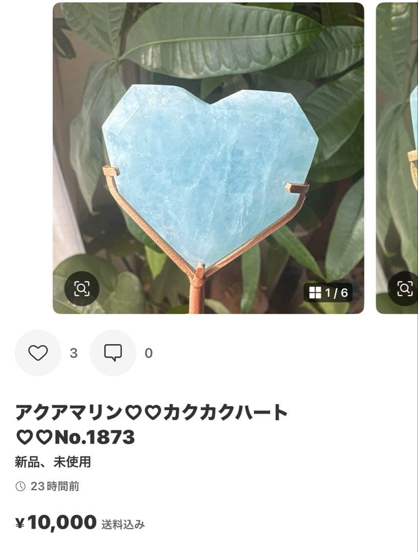 yossy-nk. 様レピド♡アクアマリン共生パーム♡ラスト1点No.1824