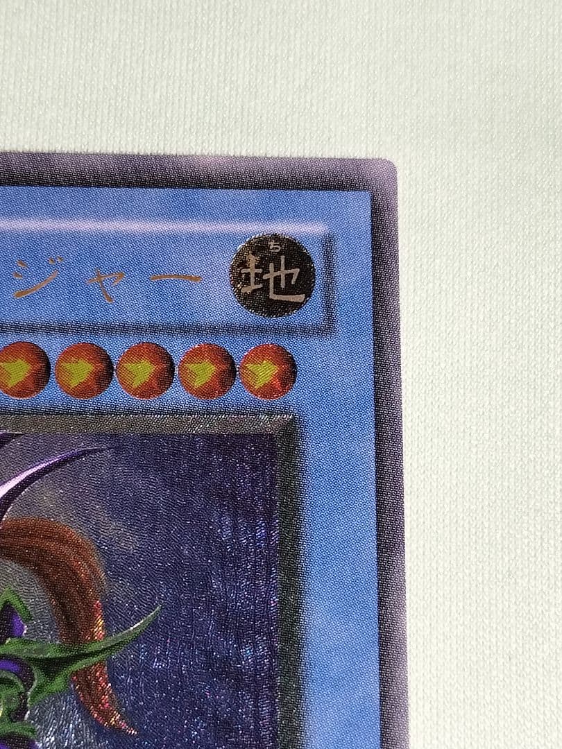 ゲリラ値下げ！『美品』カオスソルジャー　レリーフ