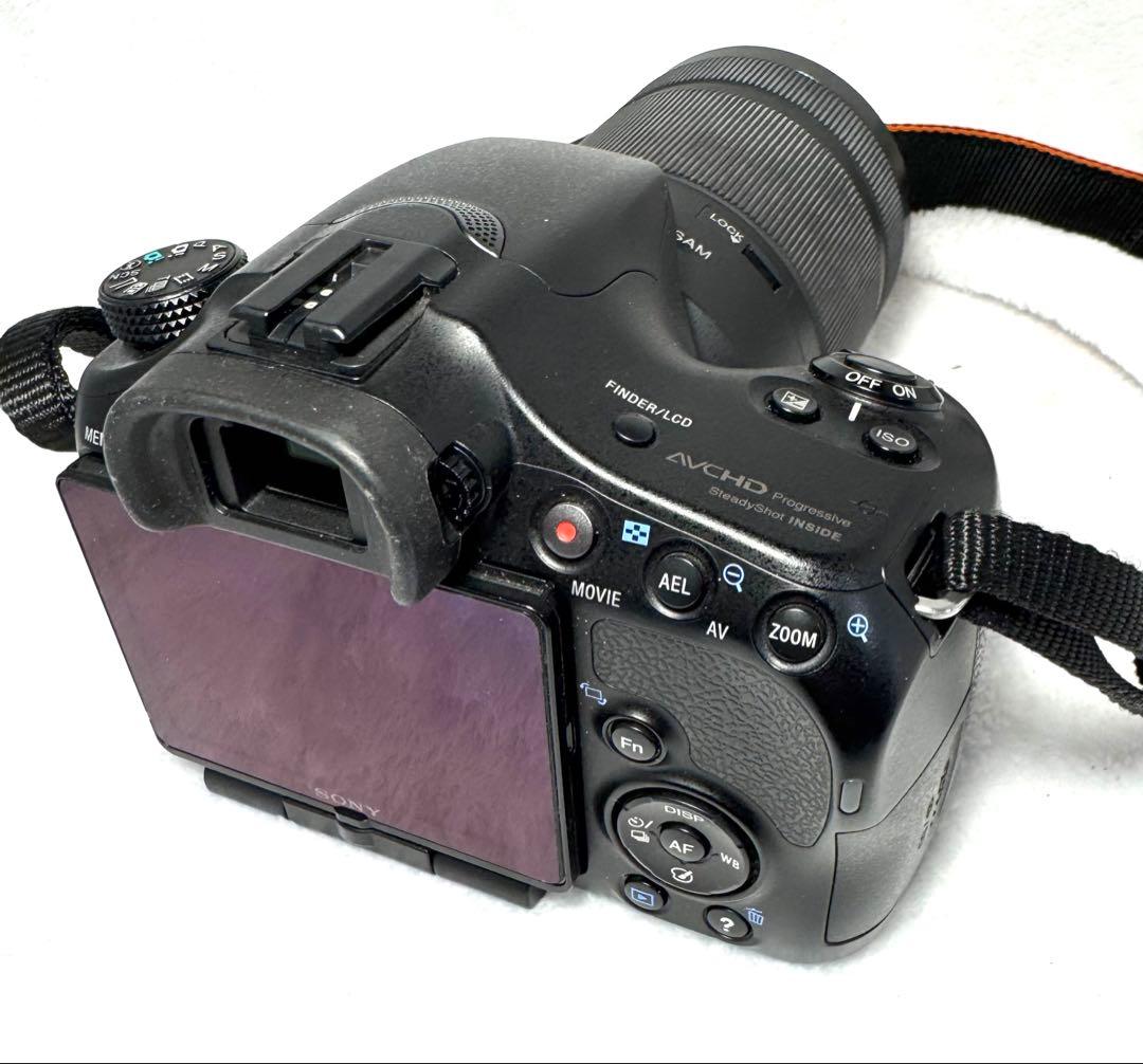 SONY α57、55-300mm F4.5-5.6 #2753