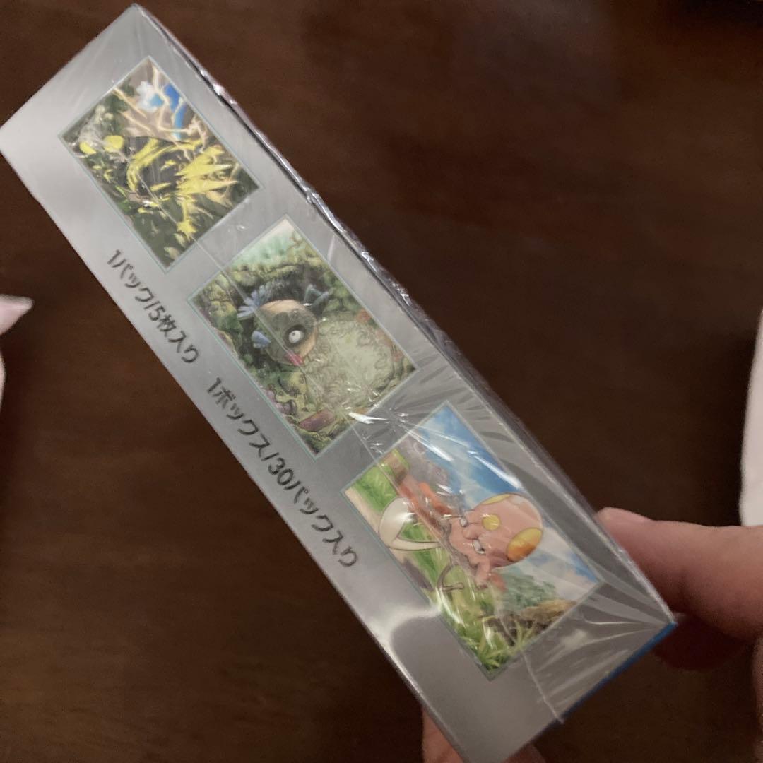 メロンさま専用です。 スカーレット＆バイオレット 拡張パック 未来の一閃