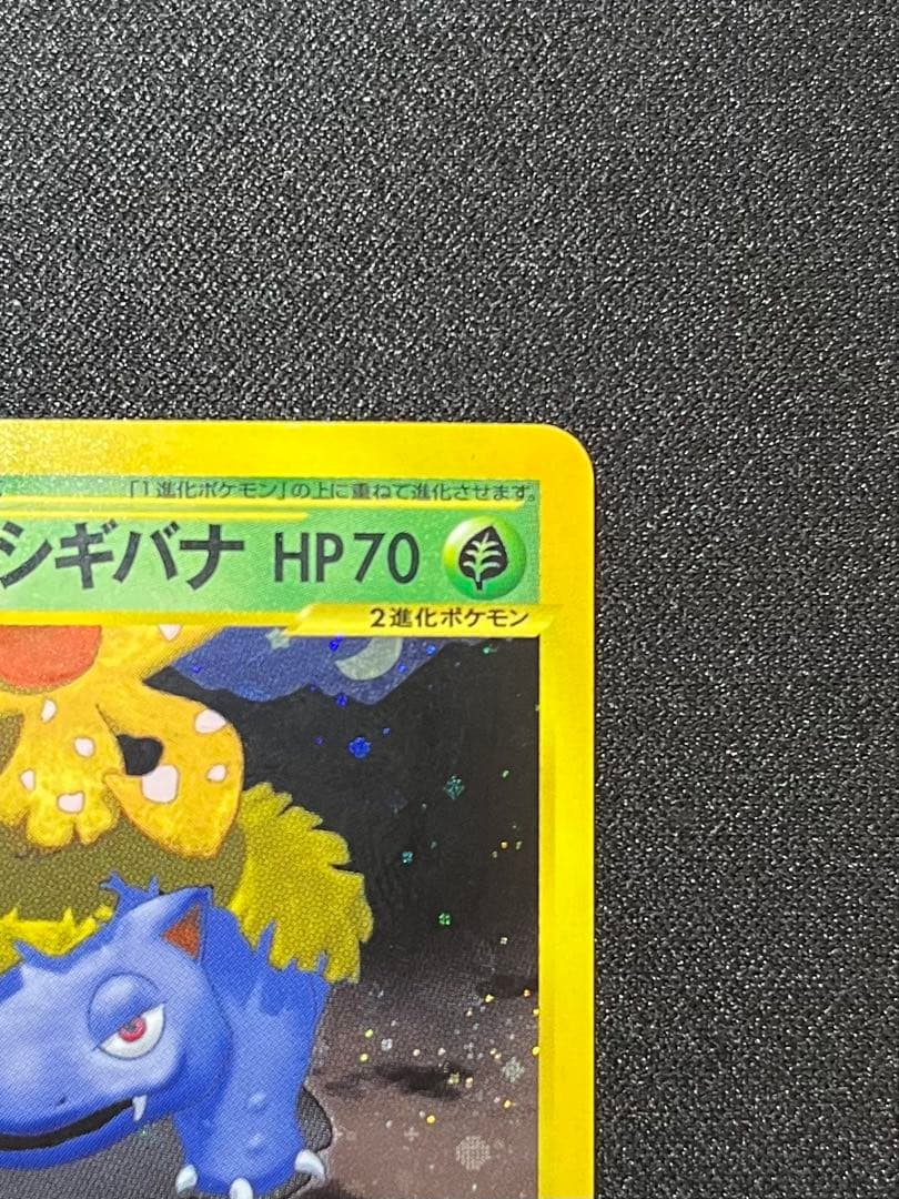 わるいフシギバナ ★ ポケモンカード★web 041/048