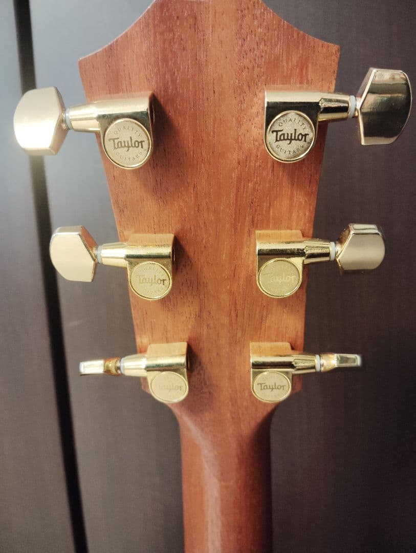 Taylor 224ce-K DLX エレアコ